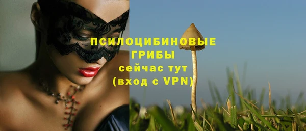 бутират Богородск