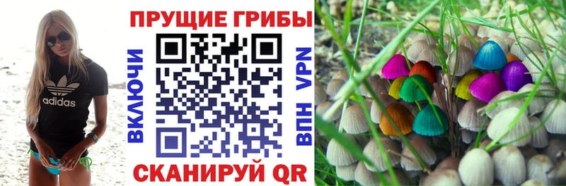 Галлюциногенные грибы прущие грибы Добрянка